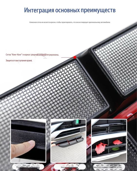 Защитная сетка радиатора — BYD Champion EV/DMI