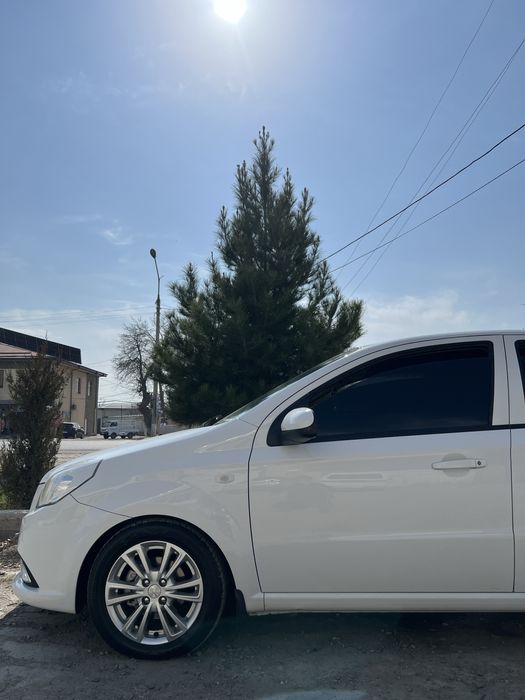 Диска кобыльт оргинал