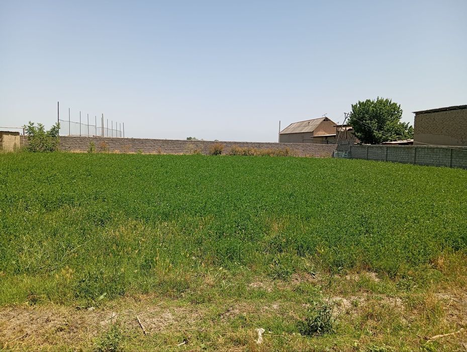 Uchastka uy solingan baxavo joydan