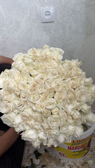 101шт,15мың..           тттттт