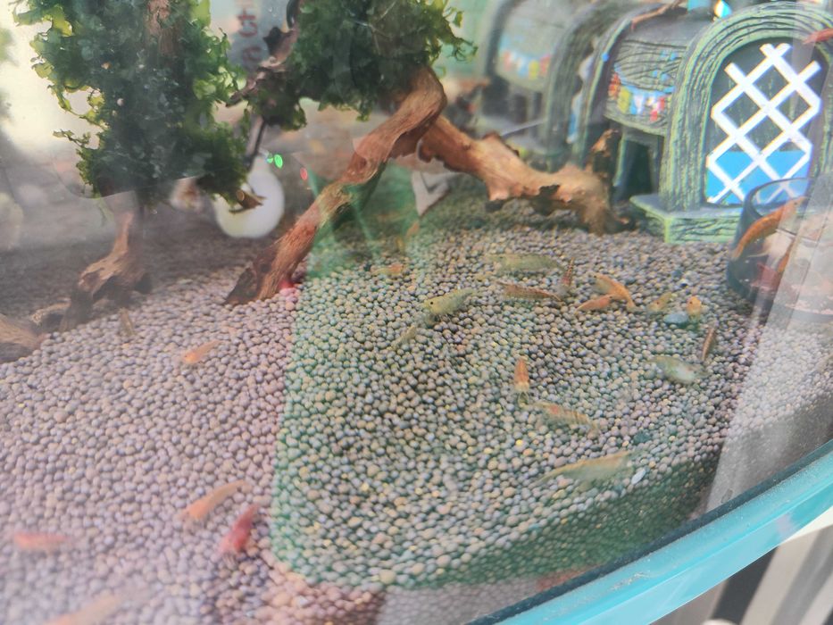 Аквагрунт для аквариума