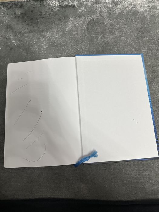 Стратегия голубого окена