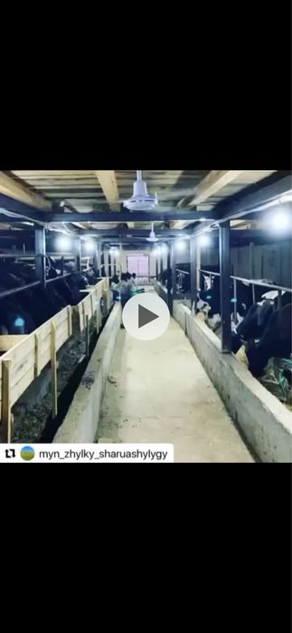 Потолочный  вентилятор