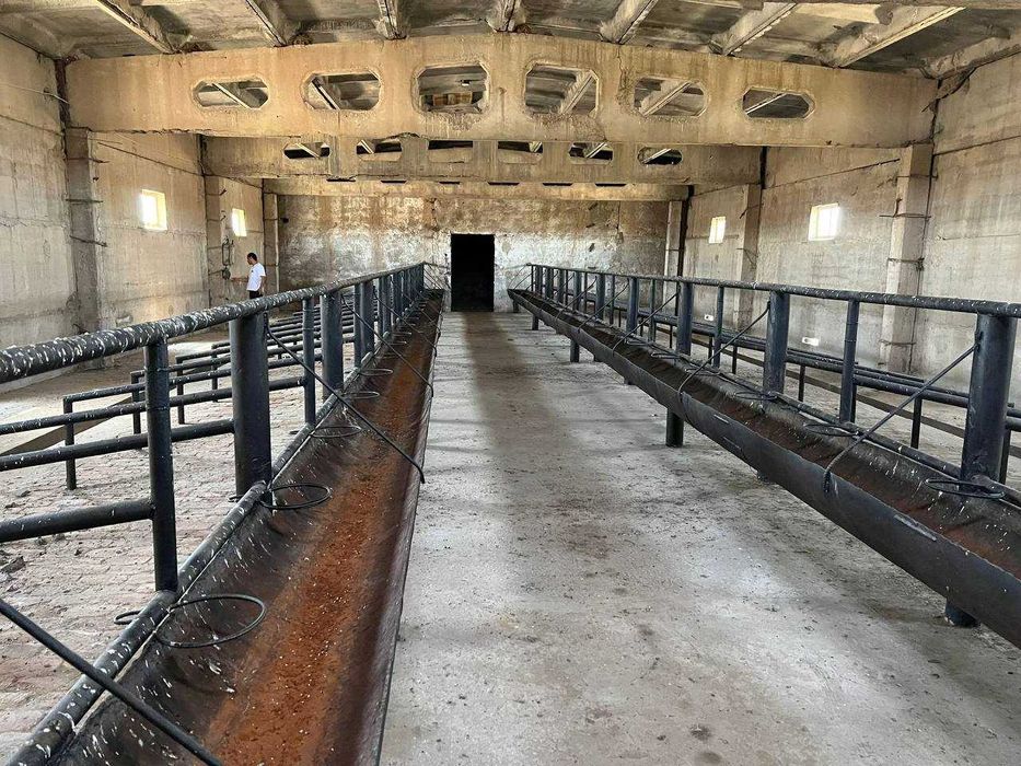 Животноводческая ферма (17.2 га) қорамол фермаси (17.2 ga)