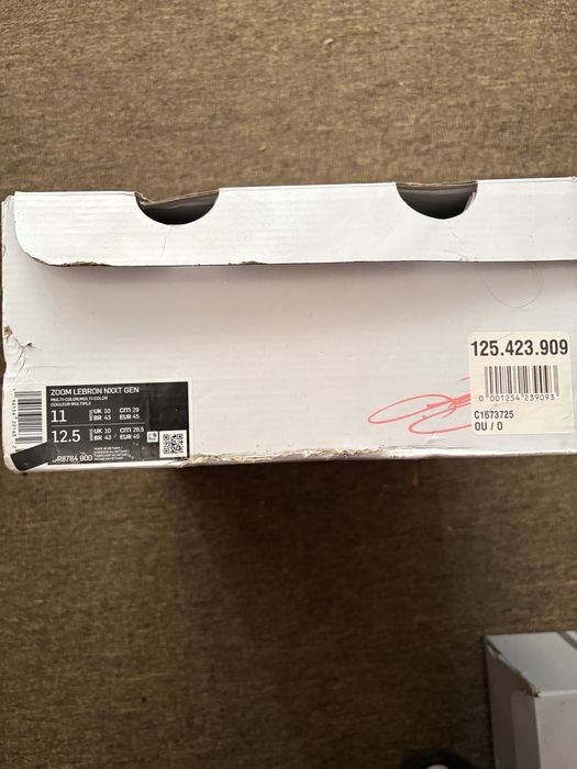 Lebron nxxt gen i promise