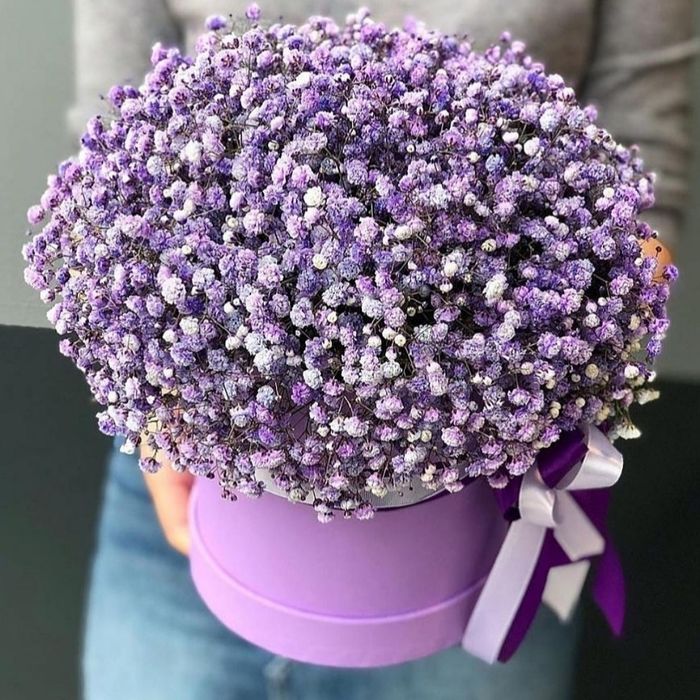 Цветы Каскелен,  Гүлдер