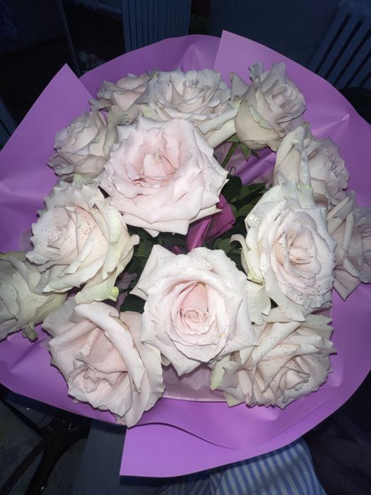 Свежий цветы,белые,сегодняшние