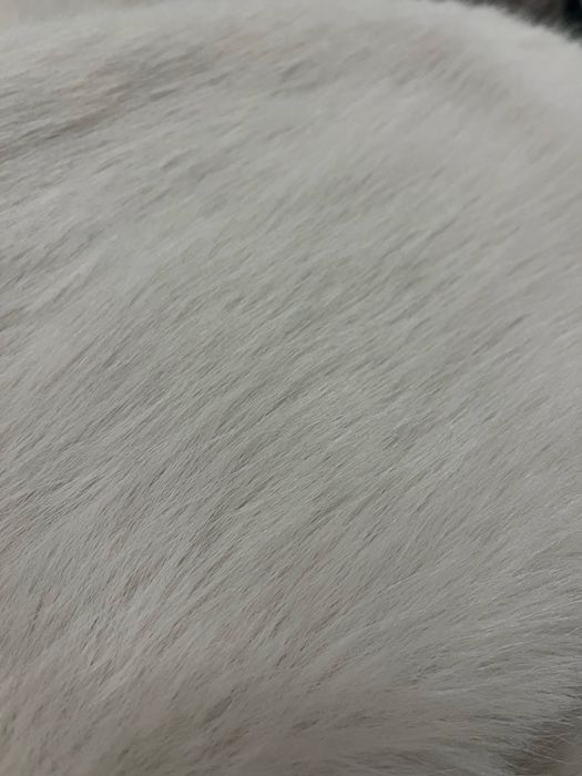 Шуба бренд от ZARA