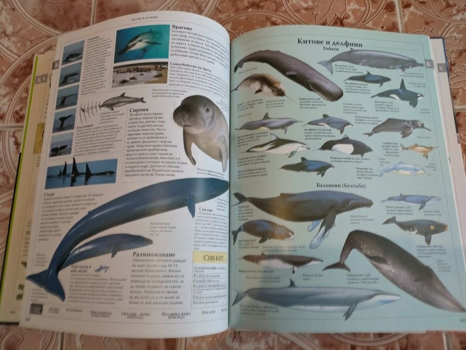 Интересна илюстрована семейна енциклопедия