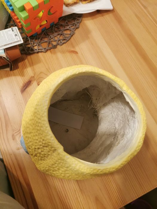 Pitici de gradina si ghiveci