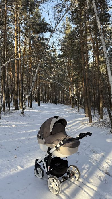 Коляска 3 в 1 Adamex