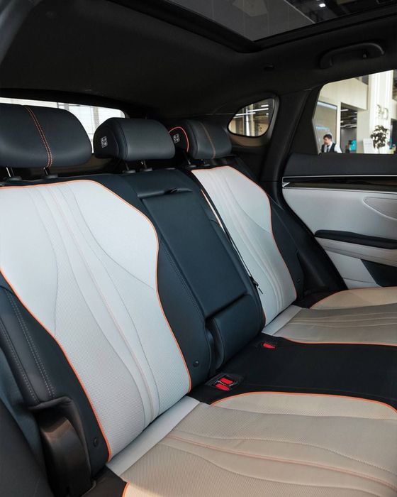 Byd champion 2026 хамма рангидан