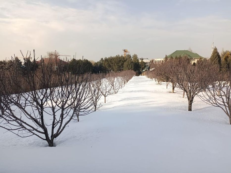 Садовые услуги доступные цены