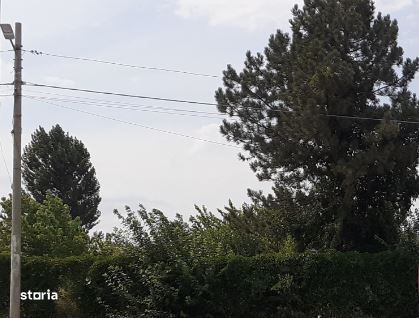 Teren 16000 mp cu deschidere la sosea