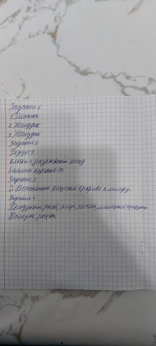 Рашгард United world wrestling