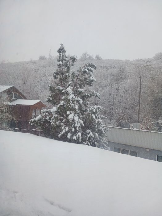 Срочно продам Дом