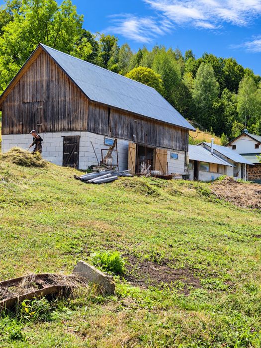 Vand proprietate cu teren – Sohodol Alba