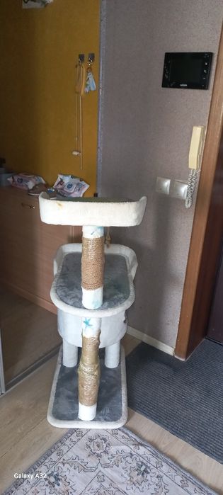 Кошкин дом для котёнка