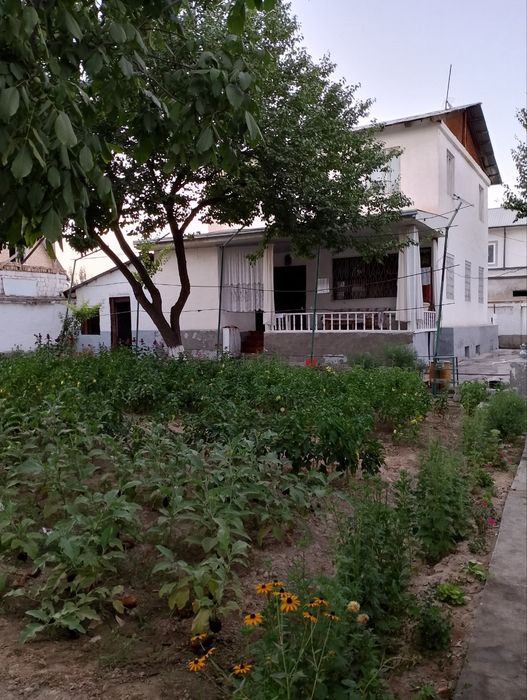 Uchastka  sotiladi srochna narx kelishilinadi!