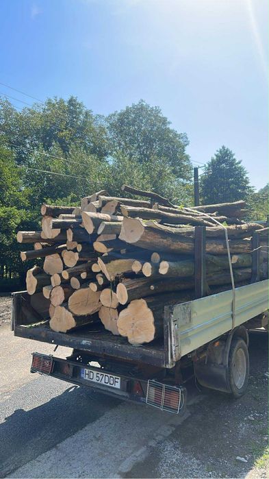 Lemn de foc Fag ,Stejar ! Cele mai bune preturi!! Tot judetul !!