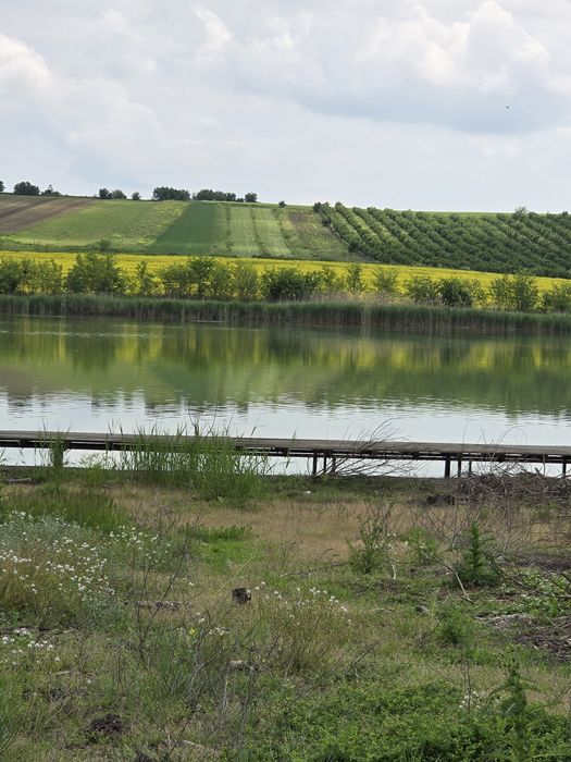 Vand casa la balta si 5000 metri patrati cu livada de 110 nuci