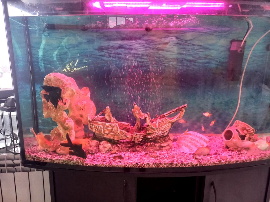 Аквариум заводскои