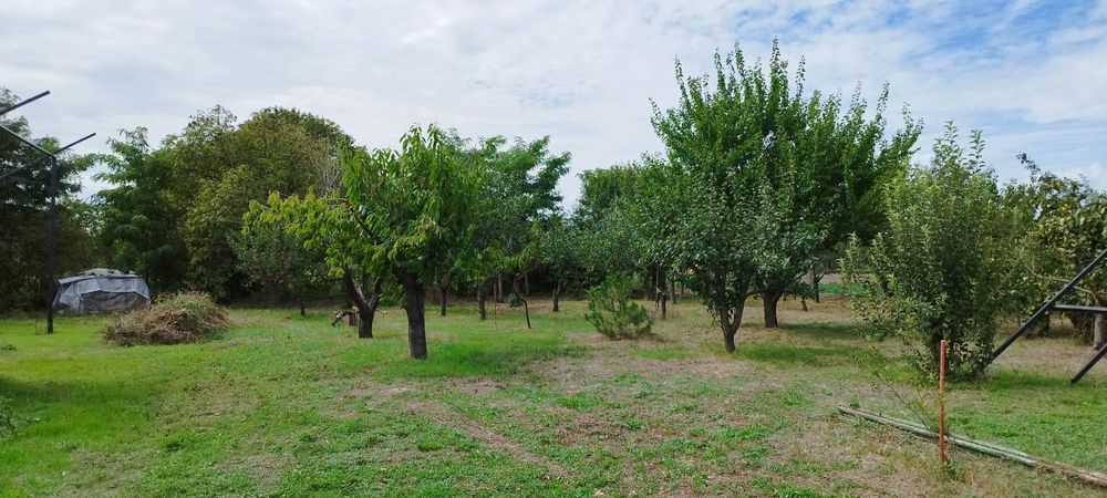 Продава се Парцел в с. Победа, Област Добрич - 200 кв.м за 408 €/кв.м - Снимка #4