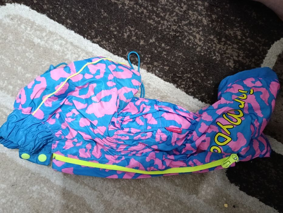 Одежда для собак