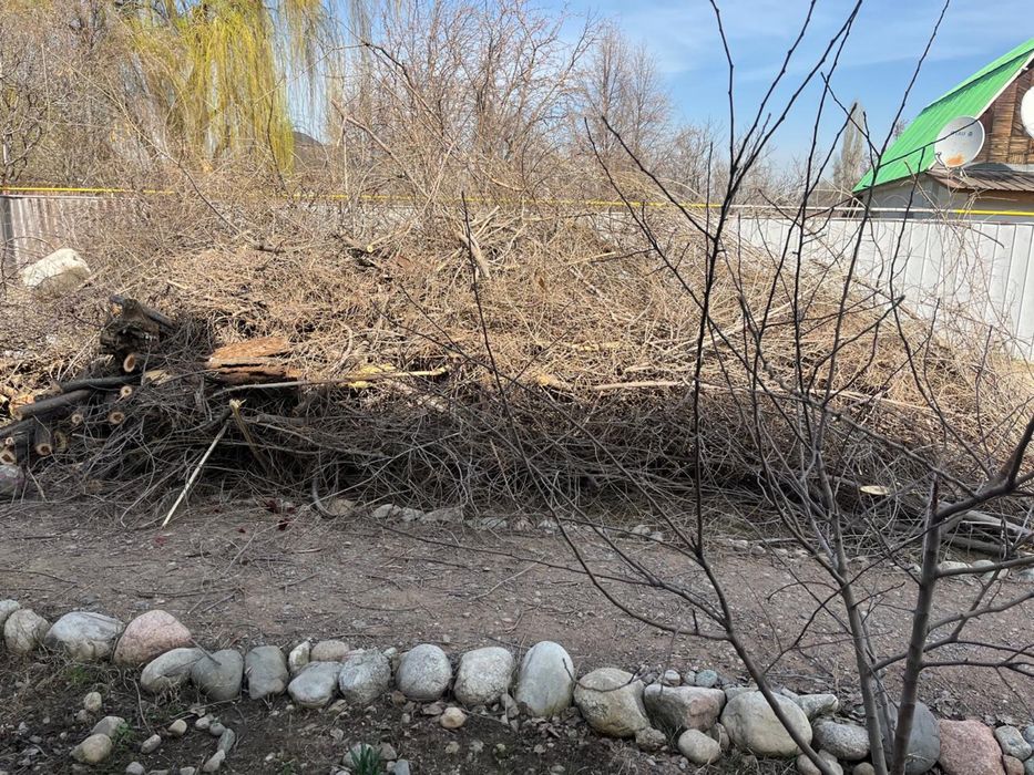 Продаем Дрова СРОЧНО