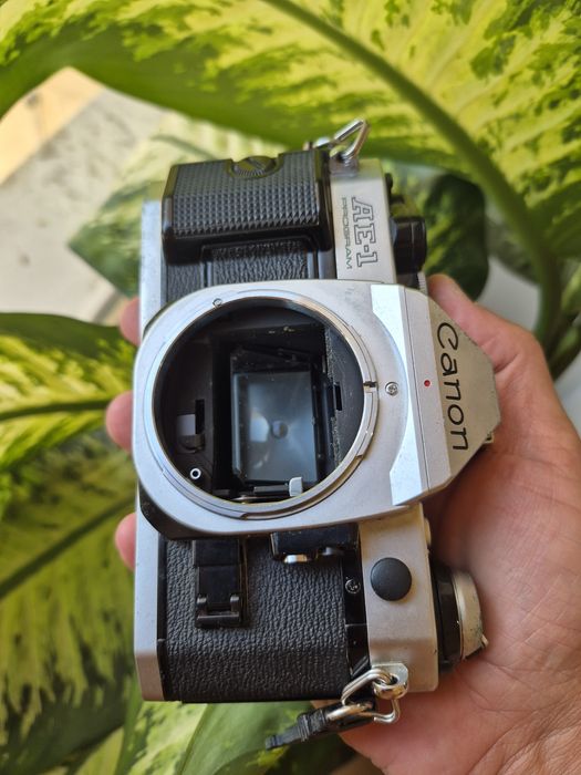 Canon AE1 Program Body obiectiv bonus