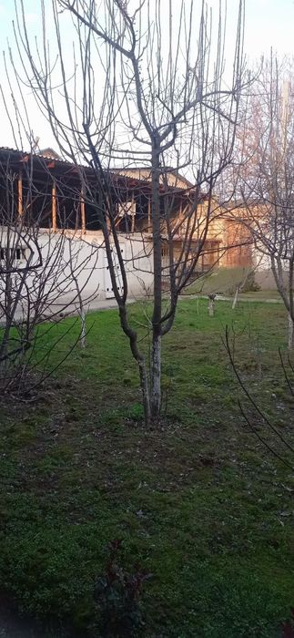 Zangiota tuman Tokzor Mfy Ganchkor koʻchasi