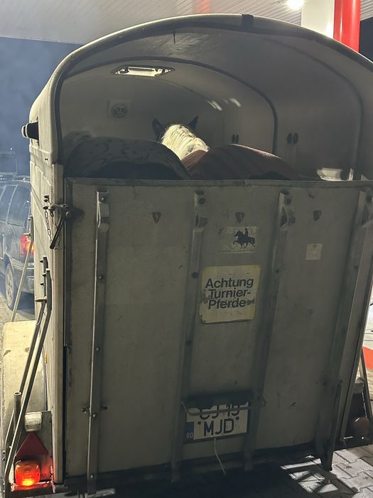 Remorca de 2 cai  fara probleme acte valabile