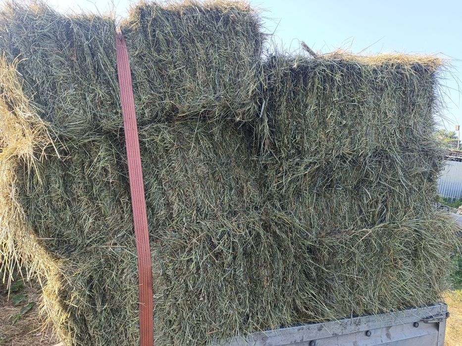 продам сено рулоны, квадратные тюки