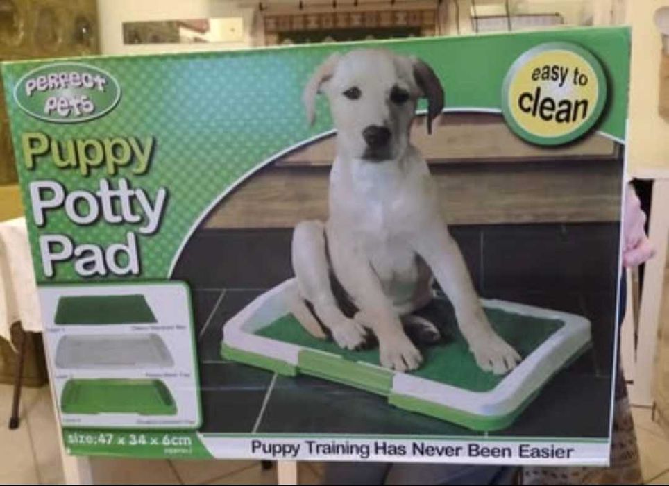 Toaleta cu covor din iarba artificiala