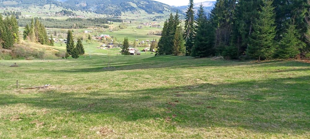 Teren intravilan Cosna