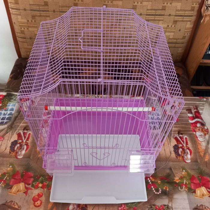 Vând colivie papagali