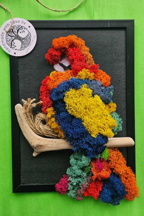 Декоративни пана със скандинавски мъх.