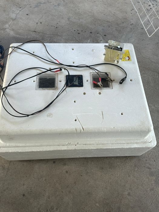 Инкубатор для яйцо