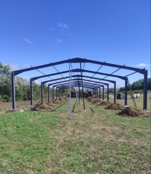 Hale și structuri metalice