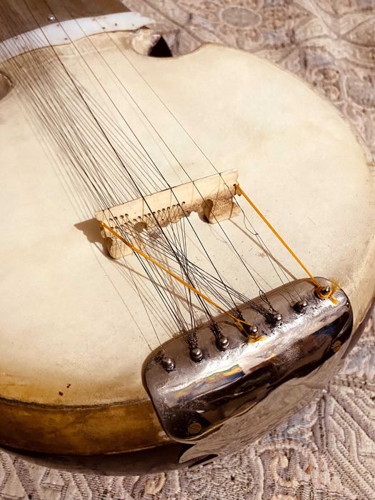 Сарод музыкальный инструмент