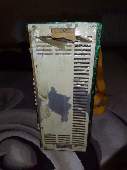 Баян молодечно 2