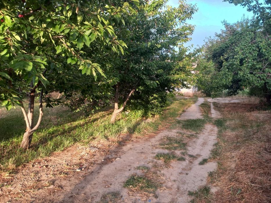 Срочно продаётся участок