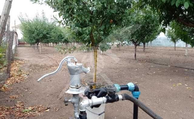 Продава се Парцел в с. Градина, Област Пловдив - 10450 кв.м за 7 €/кв.м - Снимка #1