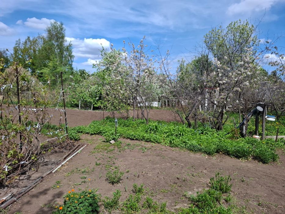 Продам дачу сад Здоровье