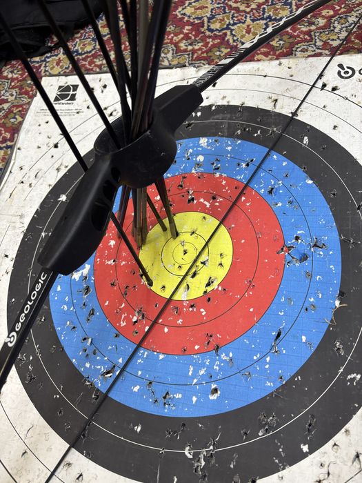 лък за стрелба с 12 бр стрели.