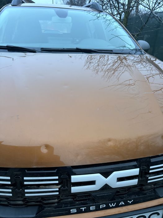 Dacia sandero stepway