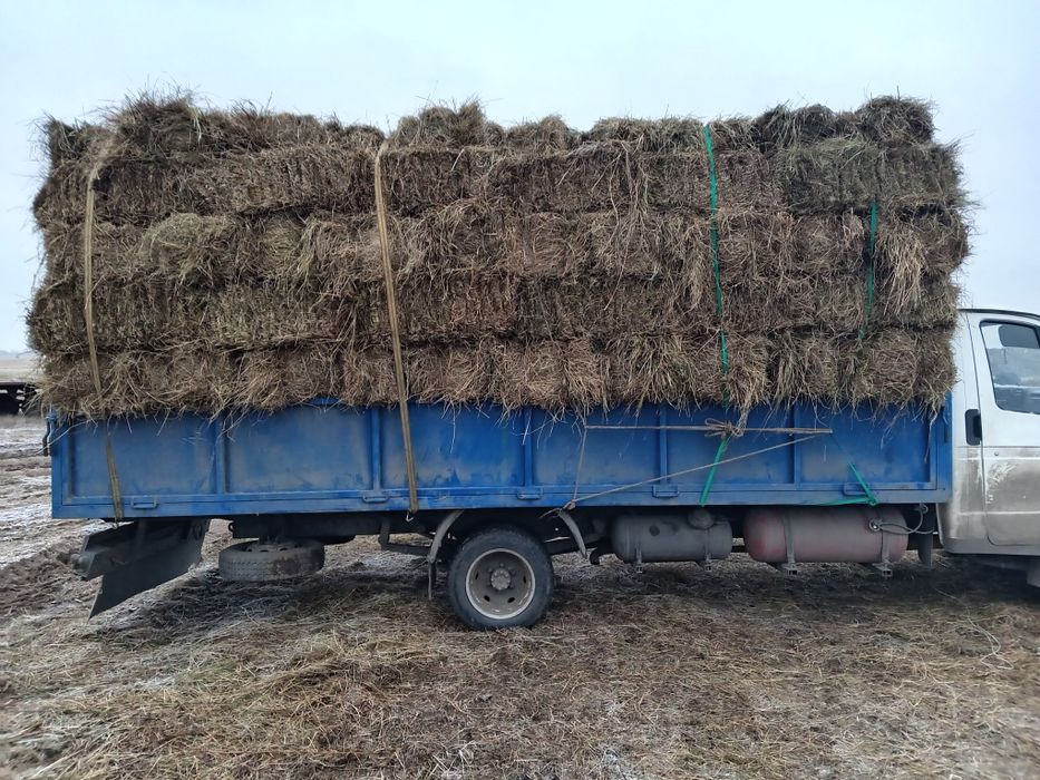 Продам сено в рулонах с доставкой!