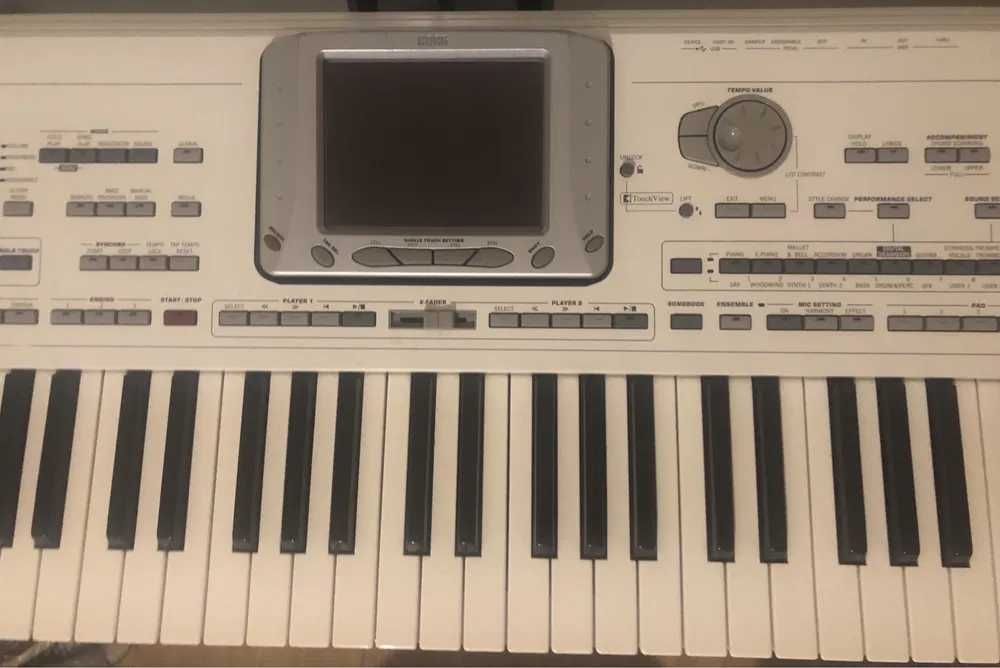 Korg PA2X 256 Mb