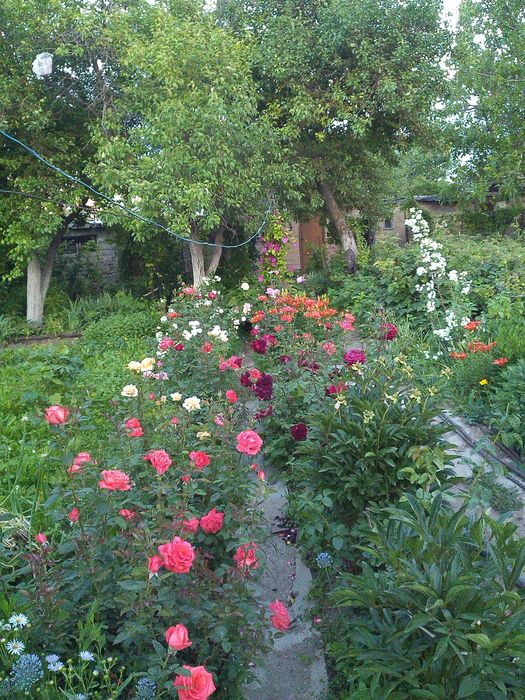 Продается дача на Чолдале