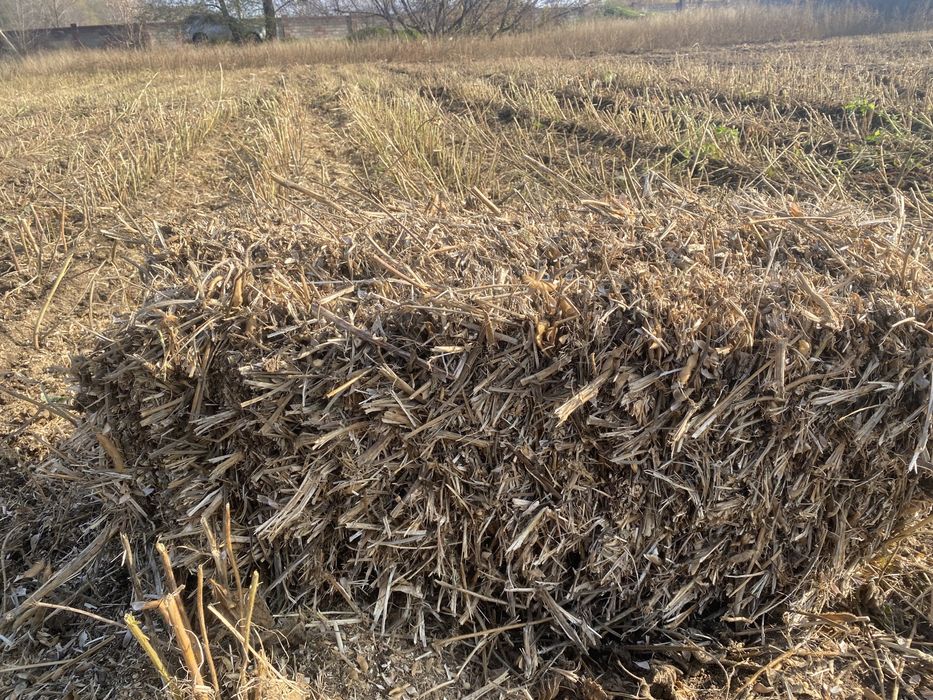 Солома соевая ( сабан )